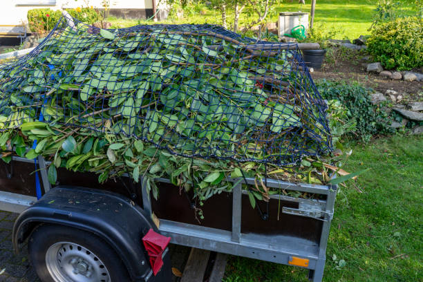 Best Yard Waste Removal  in Macon, MO